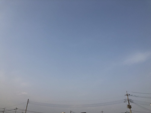 f0215094_20484759.jpeg