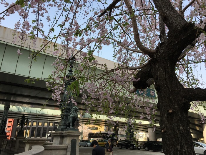 f0268294_20470891.jpeg