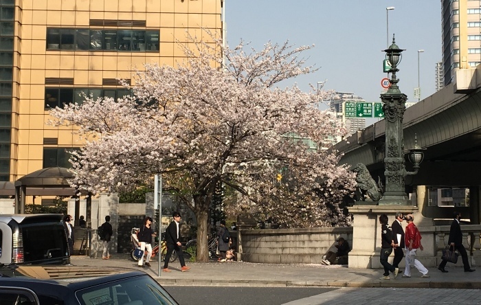 f0268294_20475772.jpeg