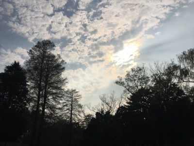 c0221896_21035028.jpeg