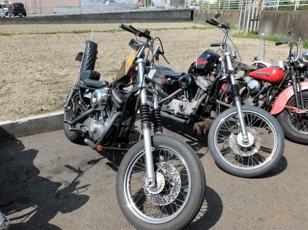 キタキターー_a0165898_16191140.jpg