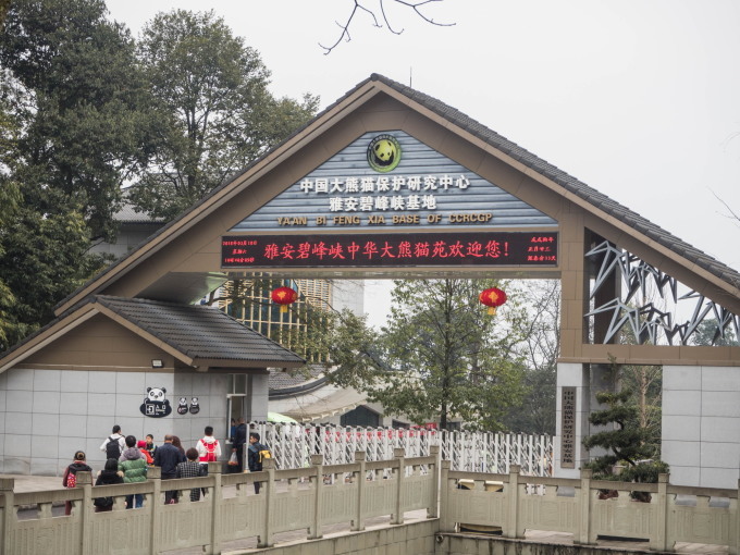 2018重慶・成都・パンダvol.5~雅安・碧峰峡パンダ生息地と上里古鎮~_f0276498_10184554.jpg