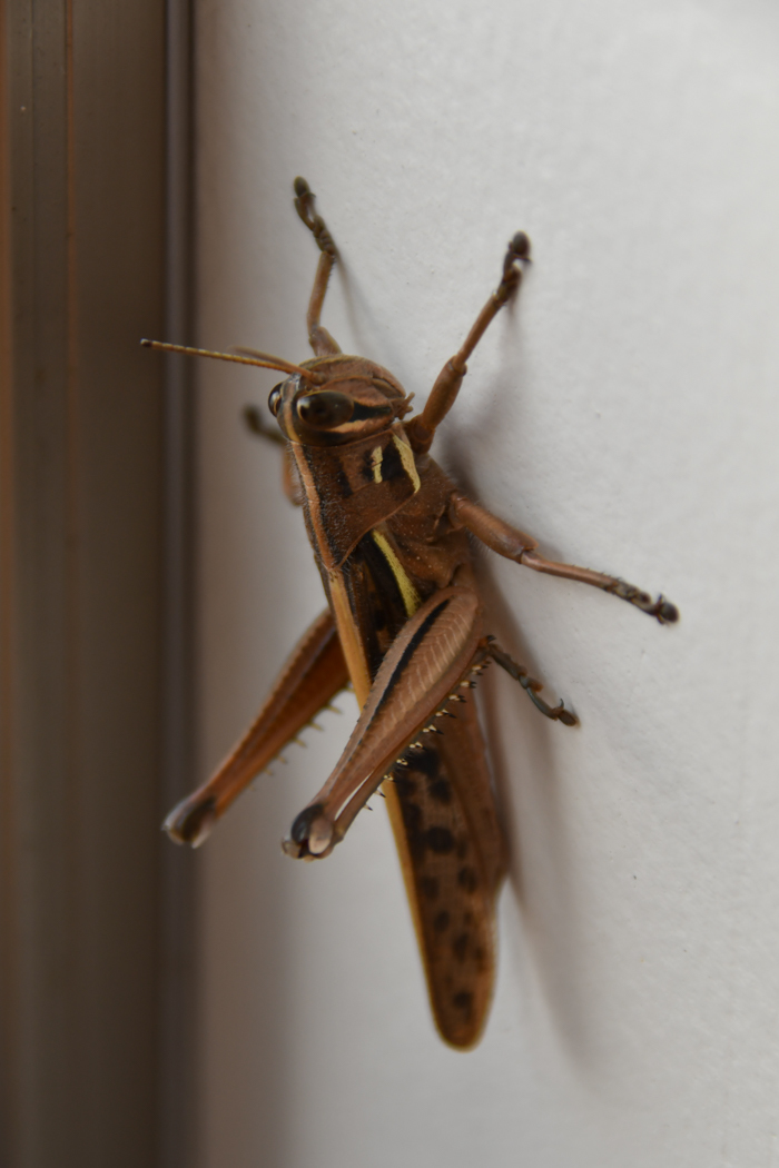 c0049299_21523014.jpg