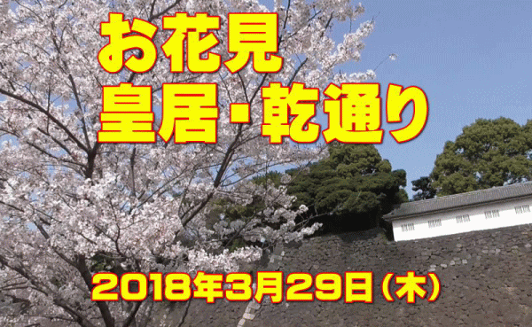 a0043204_1902542.gif