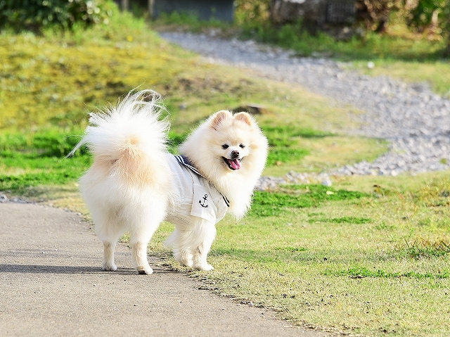 単純な男_d0360206_03512116.jpg