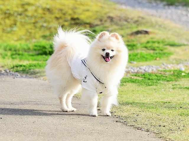 単純な男_d0360206_03515216.jpg