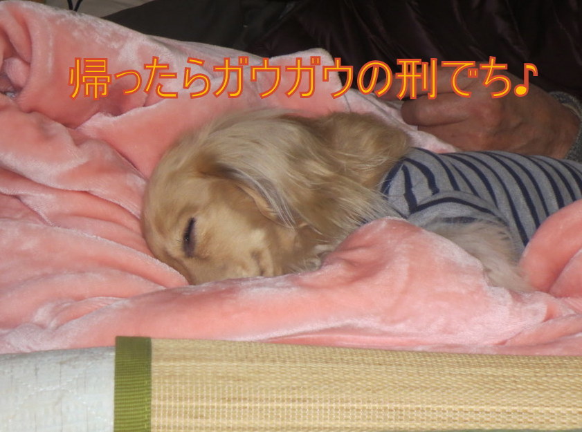 湯沢でスキー・・・なのかな?_f0224506_18594689.jpg