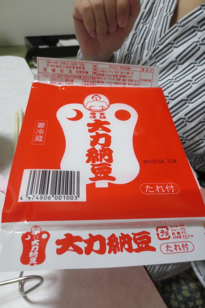 湯沢でスキー・・・なのかな?_f0224506_19011129.jpg