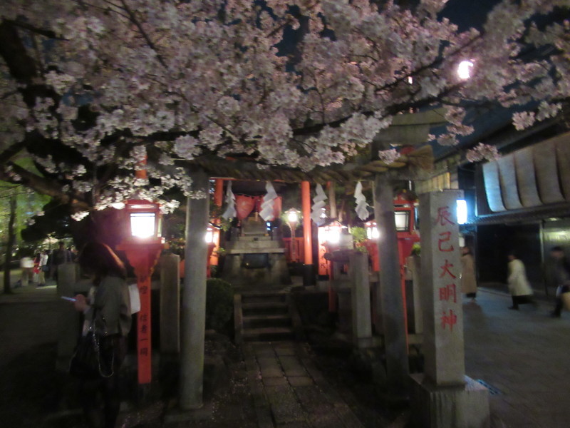 夜桜を楽しみました_e0048413_21415832.jpg