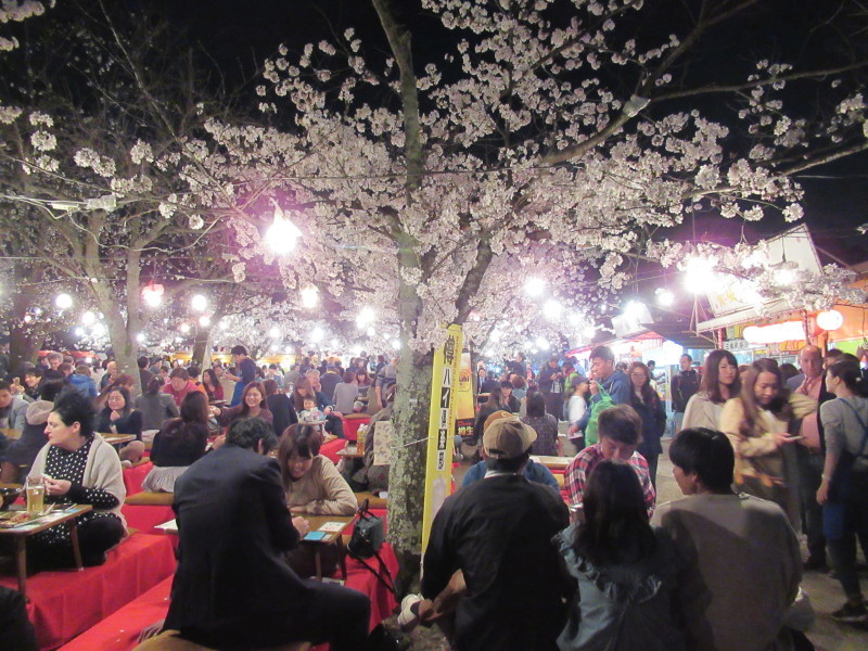 夜桜を楽しみました_e0048413_21421538.jpg