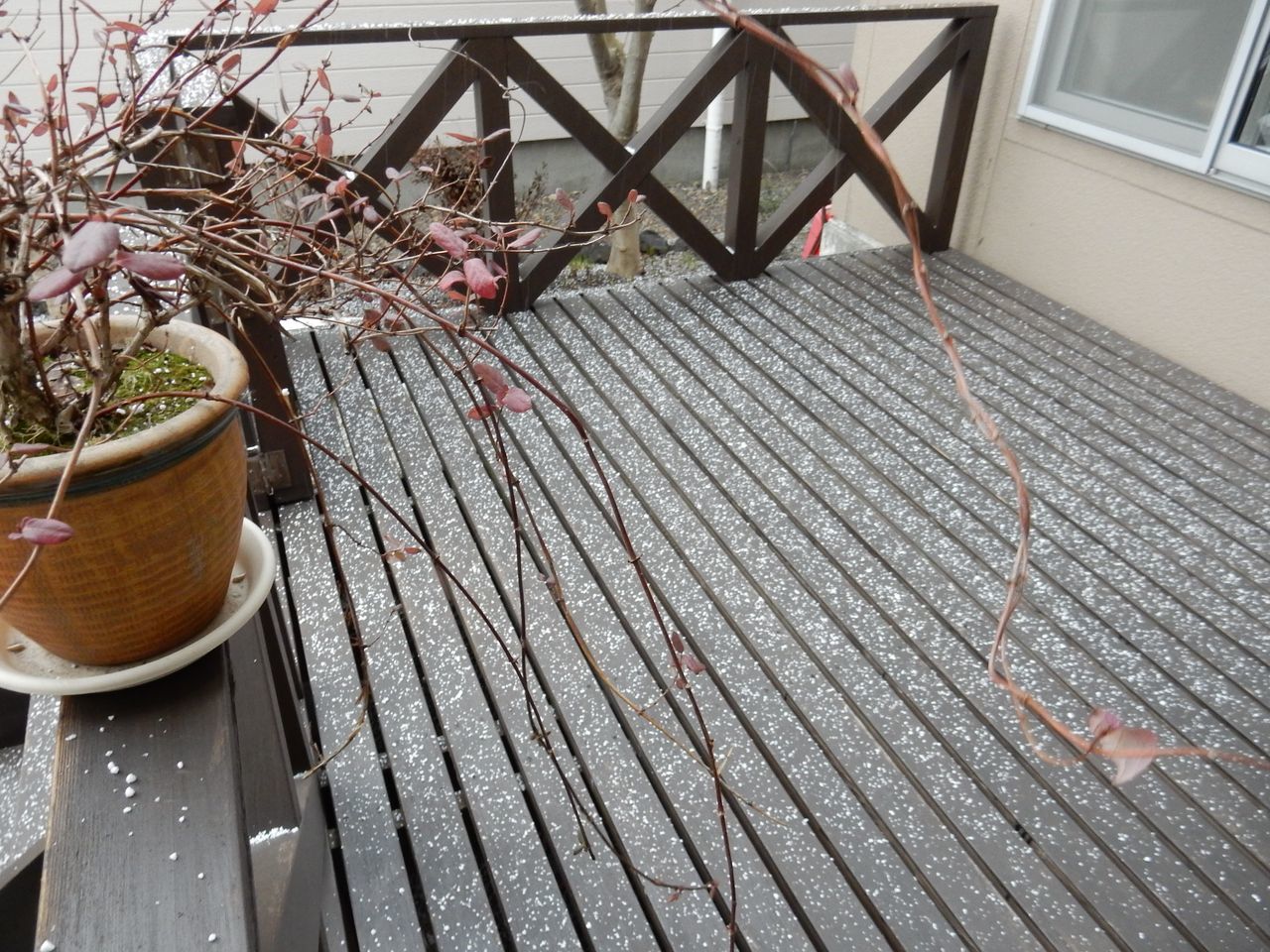 名残の雪か_c0025115_21211178.jpg
