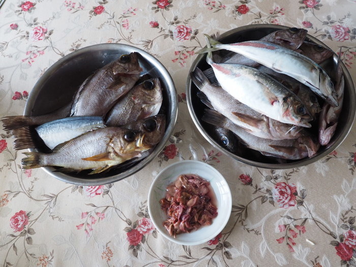 夫の釣果_c0116915_22481316.jpg