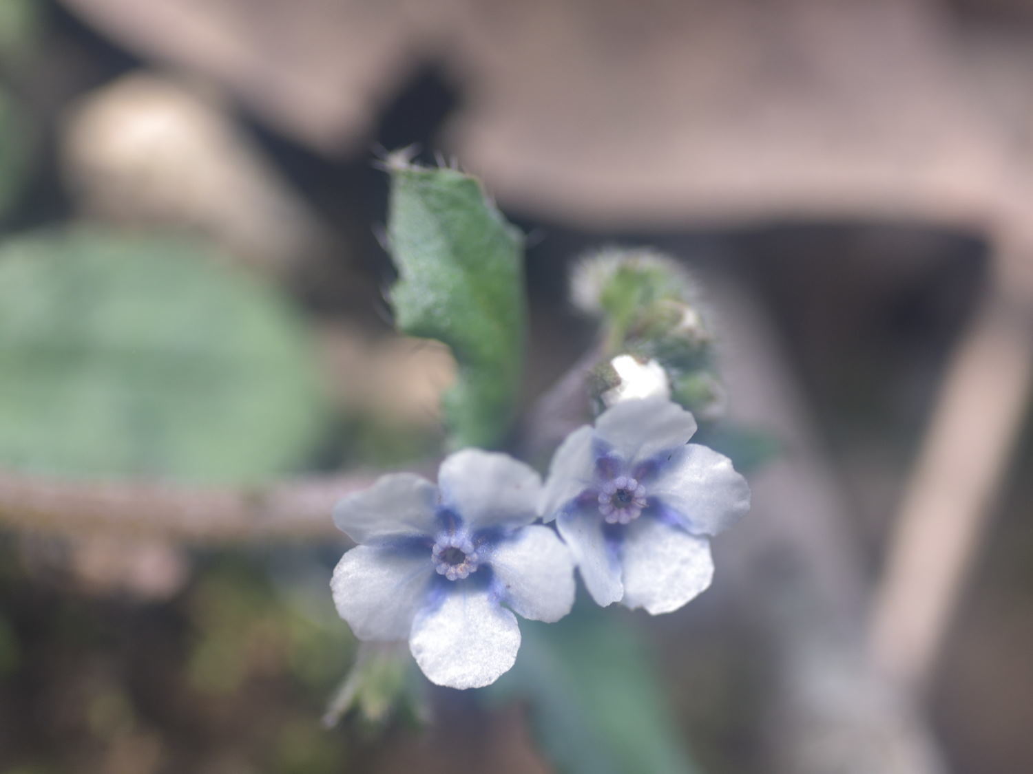 d0355116_20404037.jpg