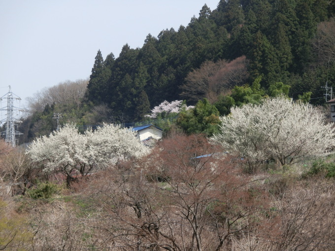 d0221319_09260838.jpg
