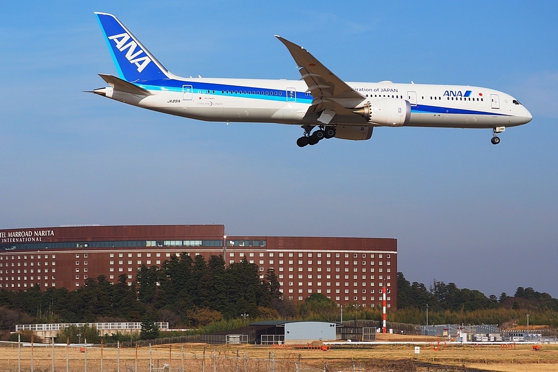 成田市さくらの山公園での飛行機見物のハイライトはこれ！この！雰囲気かもね♪_a0031821_21221174.jpg