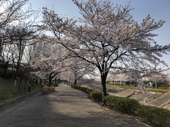 c0038722_08523933.jpeg