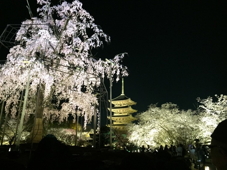 e0128024_04312793.jpeg
