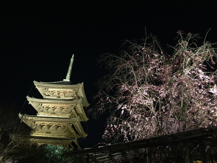 e0128024_04324914.jpeg
