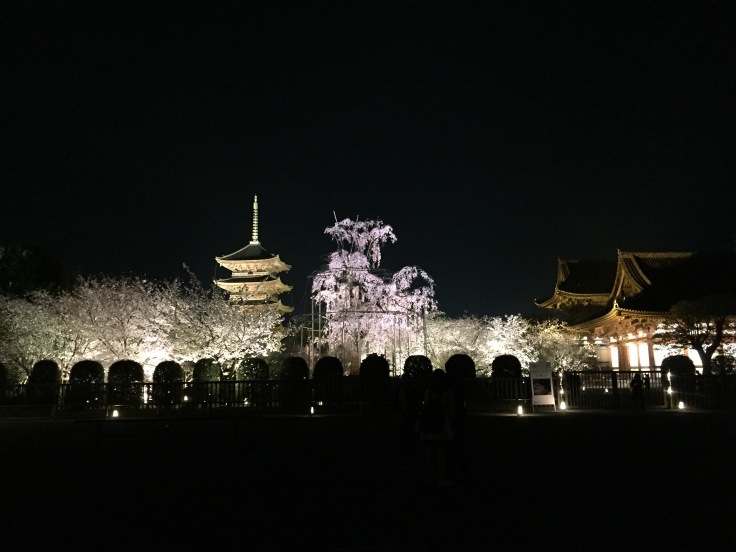 e0128024_04331422.jpeg