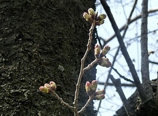 e0234924_10054456.jpg