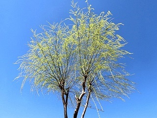 e0234924_13030164.jpg