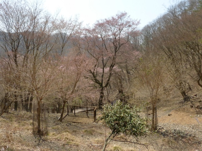 d0024426_13500018.jpg