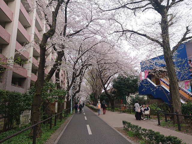 a0222229_1114868.jpg