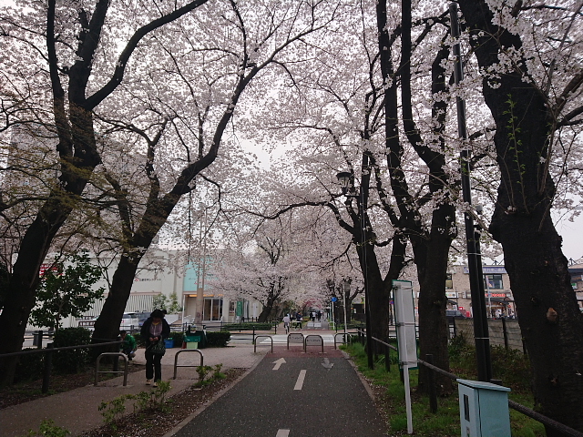 a0222229_1115919.jpg