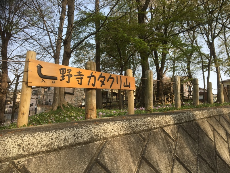 d0359930_05261647.jpeg