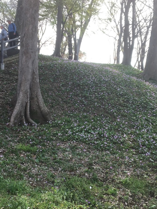 d0359930_05322460.jpeg