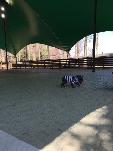 b0113232_17562514.jpeg