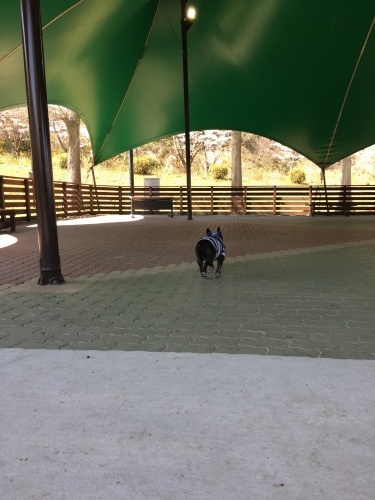 b0113232_17564802.jpeg