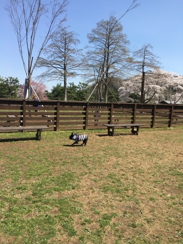 b0113232_17572059.jpeg