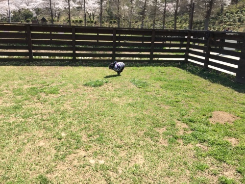 b0113232_17580679.jpeg