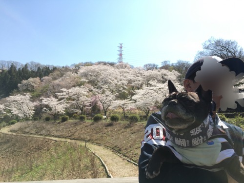b0113232_17584027.jpeg