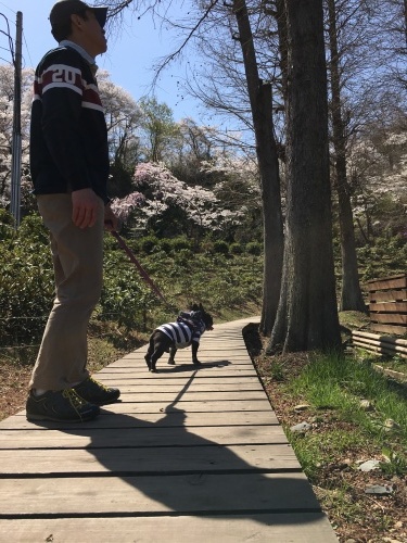 b0113232_17593006.jpeg