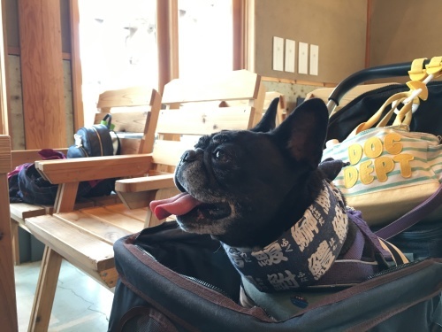 b0113232_18011799.jpeg