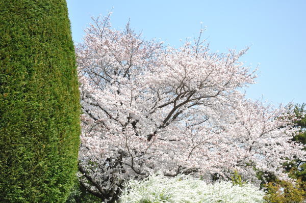 b0046933_04122883.jpg