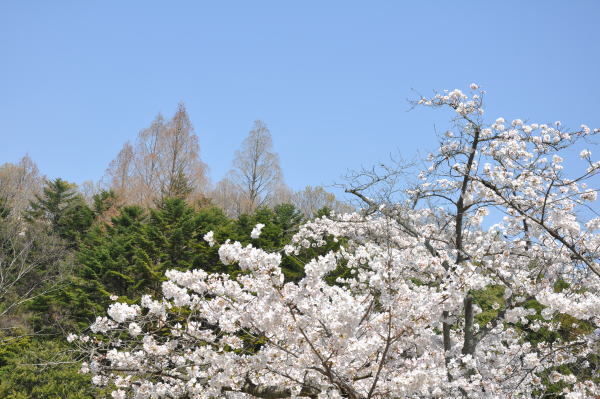 b0046933_04141683.jpg