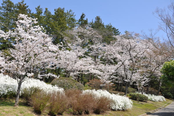 b0046933_04145380.jpg