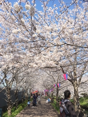 d0178136_15400500.jpeg