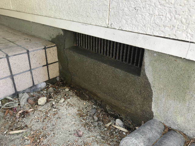 シロアリ予防と建デポと・・・_f0031037_20160092.jpg