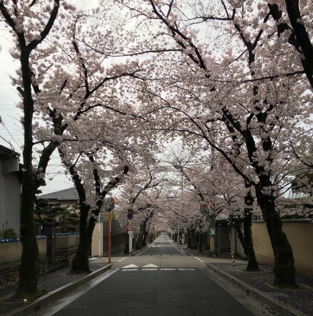 b0209638_16195735.jpeg