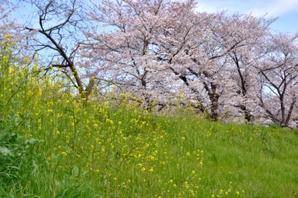 a0100742_15264545.jpg