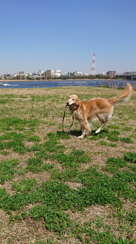 a0329943_13511931.png