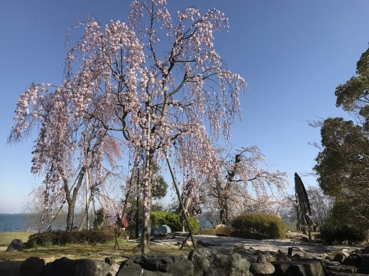 道楽 今月の作品 : YAMANELEAKS