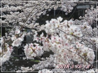 b0254145_22354828.jpg