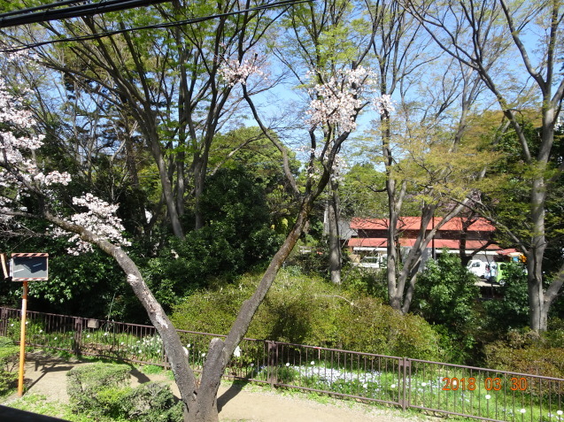 b0152049_18424143.jpg