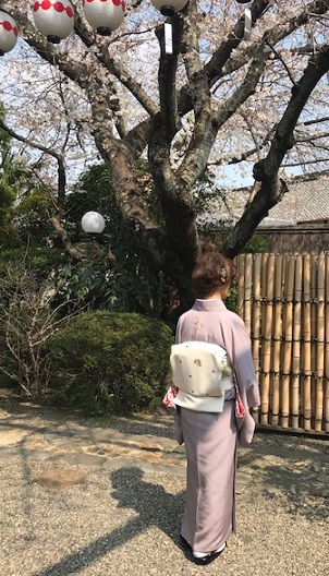 北野をどり・桜の下の着物姿・京都の桜も今週末が見頃_f0181251_1815167.jpg