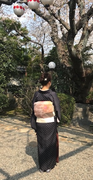 北野をどり・桜の下の着物姿・京都の桜も今週末が見頃_f0181251_18234790.jpg